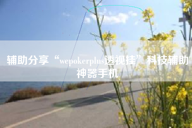 辅助分享“wepokerplus透视挂”科技辅助神器手机