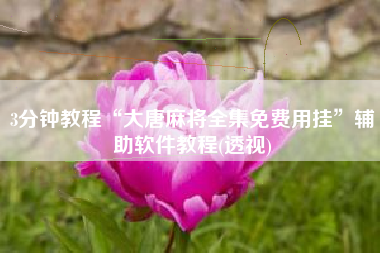 3分钟教程“大唐麻将全集免费用挂”辅助软件教程(透视)