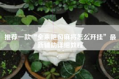 推荐一款“全来跑风麻将怎么开挂”最新辅助详细教程