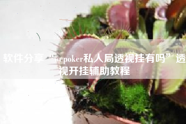 软件分享“wepoker私人局透视挂有吗	”透视开挂辅助教程