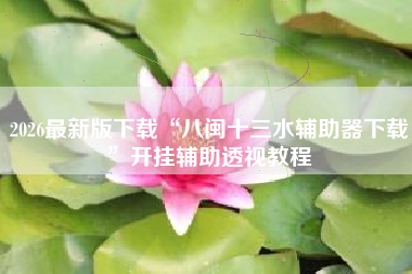 2026最新版下载“八闽十三水辅助器下载”开挂辅助透视教程