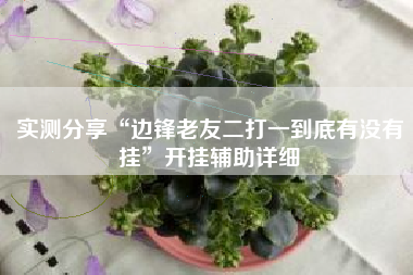 实测分享“边锋老友二打一到底有没有挂”开挂辅助详细