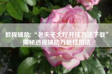 教程辅助!“老夫子大厅开挂方法下载”揭秘透视辅助万能挂用法