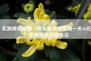 实测神器辅助“微友麻将挂试用一天30元	”详细透视辅助方法