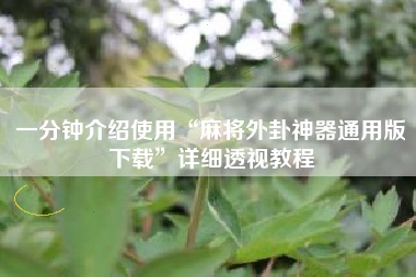 一分钟介绍使用“麻将外卦神器通用版下载”详细透视教程