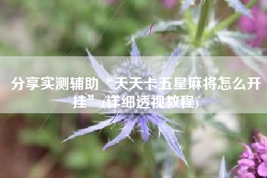 分享实测辅助“天天卡五星麻将怎么开挂”(详细透视教程)