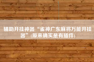 辅助开挂神器“雀神广东麻将万能开挂器”(原来确实是有插件)