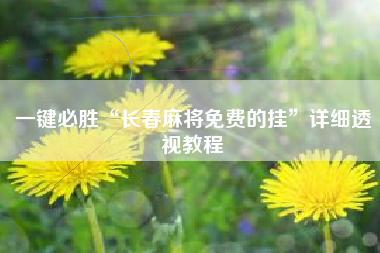 一键必胜“长春麻将免费的挂”详细透视教程