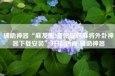 辅助神器“麻友圈2贵阳捉鸡麻将外卦神器下载安装”开挂(透视)辅助神器