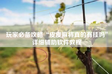 玩家必备攻略“皮皮麻将真的有挂吗”详细辅助软件教程