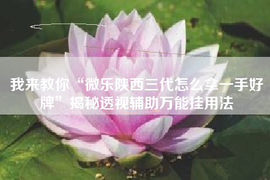 我来教你“微乐陕西三代怎么拿一手好牌”揭秘透视辅助万能挂用法