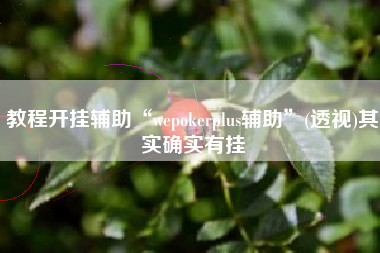 教程开挂辅助“wepokerplus辅助”(透视)其实确实有挂