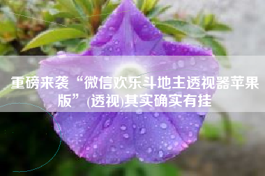 重磅来袭“微信欢乐斗地主透视器苹果版	”(透视)其实确实有挂