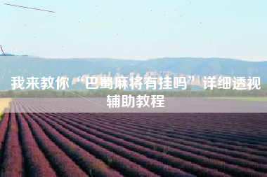 我来教你“巴蜀麻将有挂吗”详细透视辅助教程