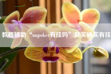 教程辅助“uupoker有挂吗”其实确实有挂