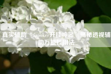 真实辅助“aapoker开挂神器”揭秘透视辅助万能挂用法