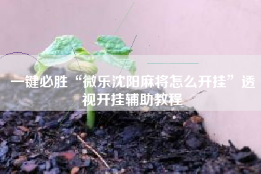 一键必胜“微乐沈阳麻将怎么开挂	”透视开挂辅助教程
