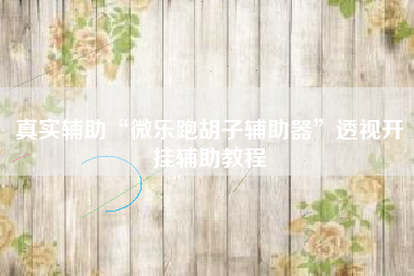 真实辅助“微乐跑胡子辅助器”透视开挂辅助教程