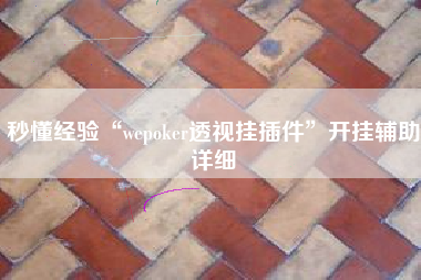 秒懂经验“wepoker透视挂插件”开挂辅助详细