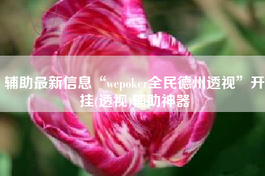 辅助最新信息“wepoker全民德州透视”开挂(透视)辅助神器