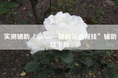 实测辅助“xpoker一键购买透视挂”辅助挂下载