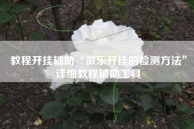 教程开挂辅助“微乐开挂的检测方法”详细教程辅助工具