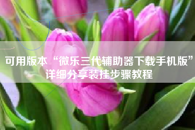 可用版本“微乐三代辅助器下载手机版”详细分享装挂步骤教程