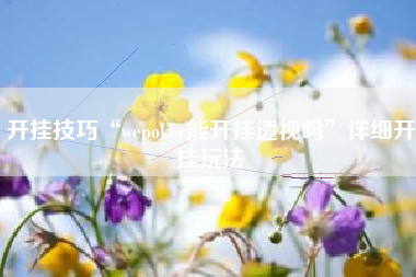 开挂技巧“wepoker能开挂透视吗”详细开挂玩法