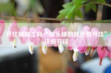 开挂辅助工具“微乐辅助器免费开挂”详细开挂