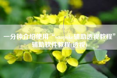 一分钟介绍使用“waapoke辅助透视教程”辅助软件教程(透视)
