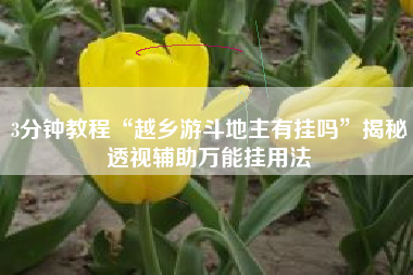 3分钟教程“越乡游斗地主有挂吗	”揭秘透视辅助万能挂用法