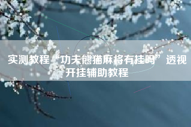 实测教程“功夫熊猫麻将有挂吗”透视开挂辅助教程