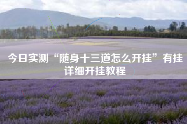 今日实测“随身十三道怎么开挂”有挂详细开挂教程