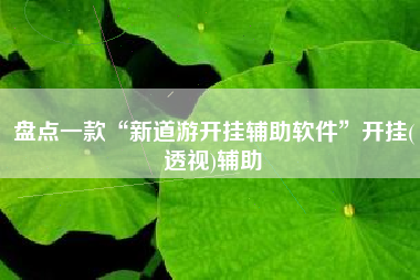 盘点一款“新道游开挂辅助软件”开挂(透视)辅助