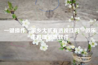 一键操作“家乡大贰有透视挂吗”微乐干瞪眼必赢软件