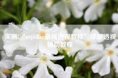 实测!“wepoKer最新透视教程”详细透视辅助教程