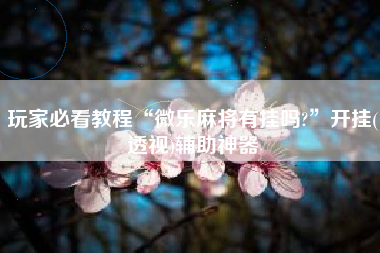 玩家必看教程“微乐麻将有挂吗?”开挂(透视)辅助神器