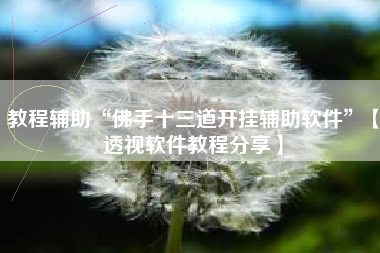 教程辅助“佛手十三道开挂辅助软件”【透视软件教程分享】