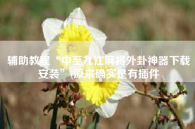 辅助教程“中至九江麻将外卦神器下载安装”(原来确实是有插件