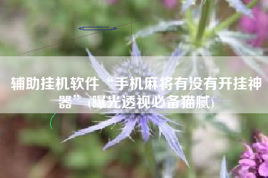 辅助挂机软件“手机麻将有没有开挂神器”(曝光透视必备猫腻)
