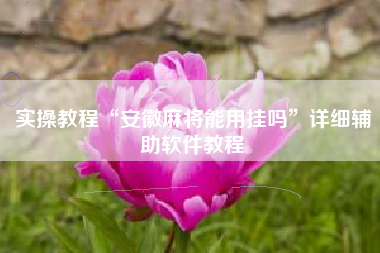 实操教程“安徽麻将能用挂吗”详细辅助软件教程