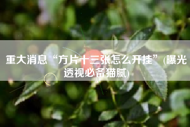 重大消息“方片十三张怎么开挂	”(曝光透视必备猫腻)