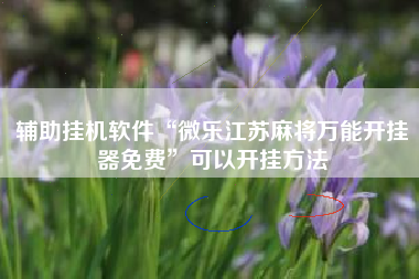 辅助挂机软件“微乐江苏麻将万能开挂器免费”可以开挂方法