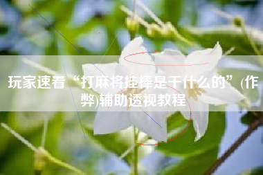 玩家速看“打麻将挂棒是干什么的	”(作弊)辅助透视教程