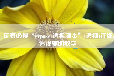 玩家必搜“wepoker透视脚本”(透视)详细透视辅助教学
