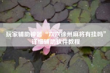玩家辅助神器“六六徐州麻将有挂吗	”详细辅助软件教程