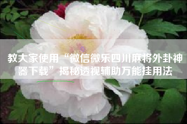 教大家使用“微信微乐四川麻将外卦神器下载	”揭秘透视辅助万能挂用法