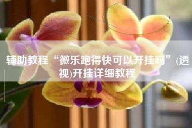 辅助教程“微乐跑得快可以开挂吗”(透视)开挂详细教程