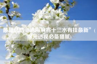 最新总结“沧海麻将十三水有挂最新	”(曝光透视必备猫腻)