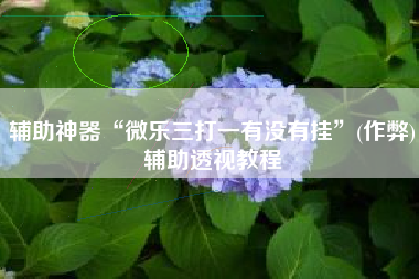 辅助神器“微乐三打一有没有挂”(作弊)辅助透视教程
